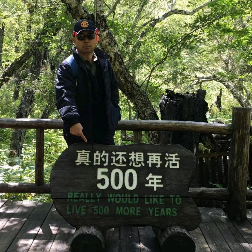 王师在流浪