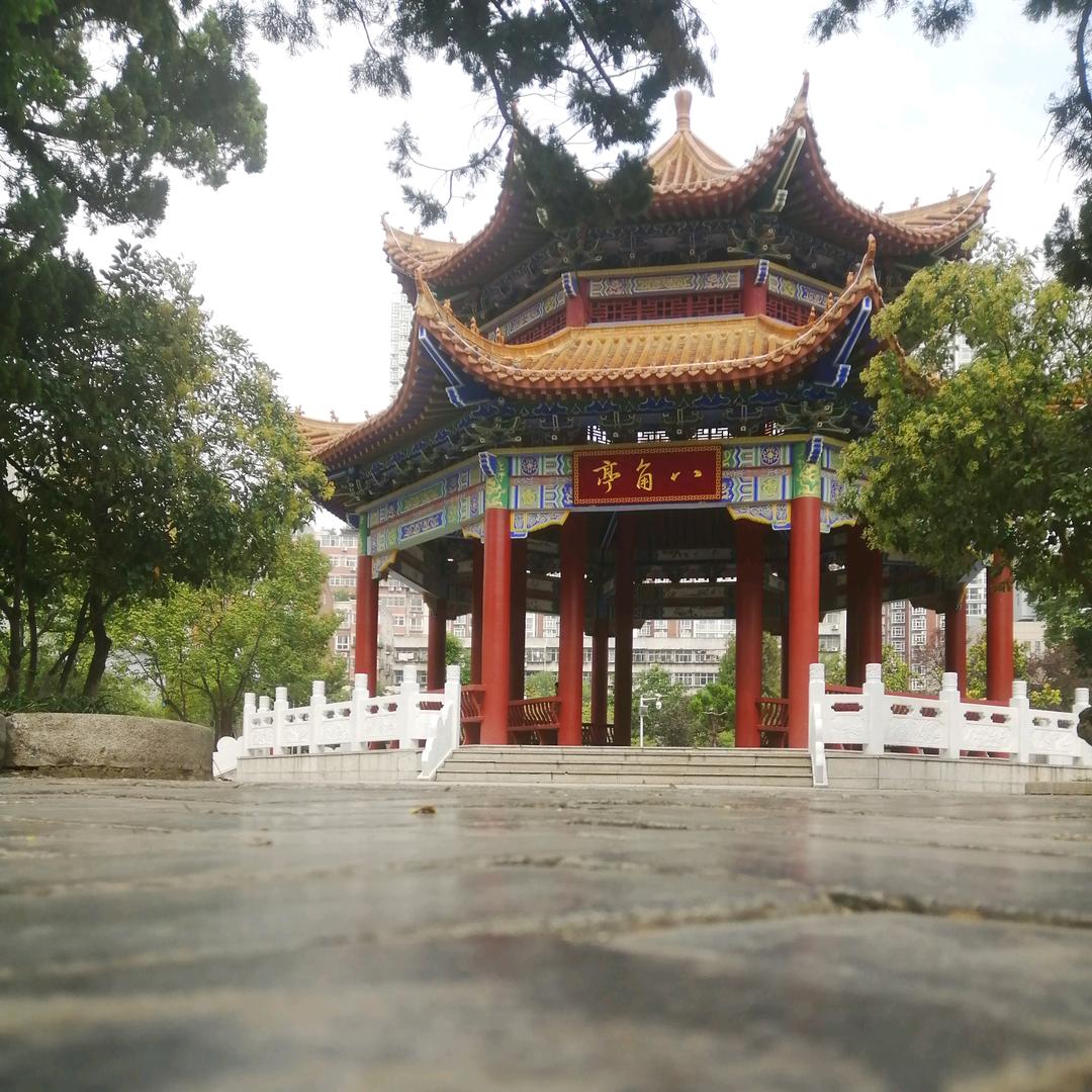 红枫