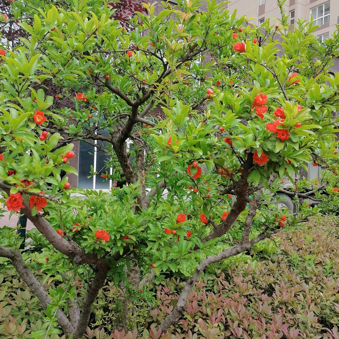 美～丽～人～生