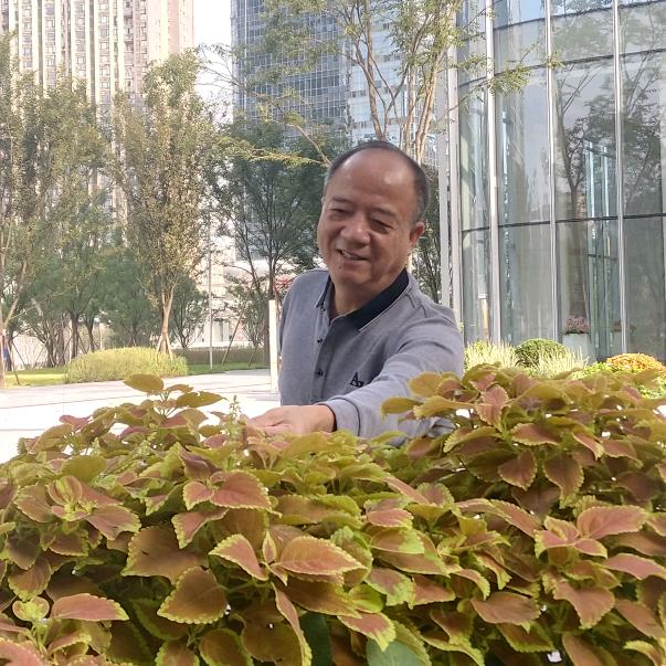 童心无忧