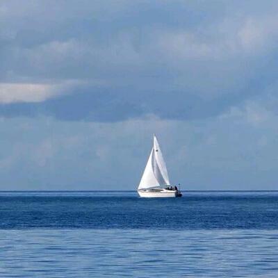 吐鲁番市金舵瓷砖&九牧卫浴