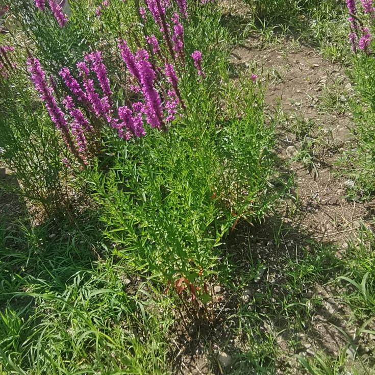 用户7339978643102英雄