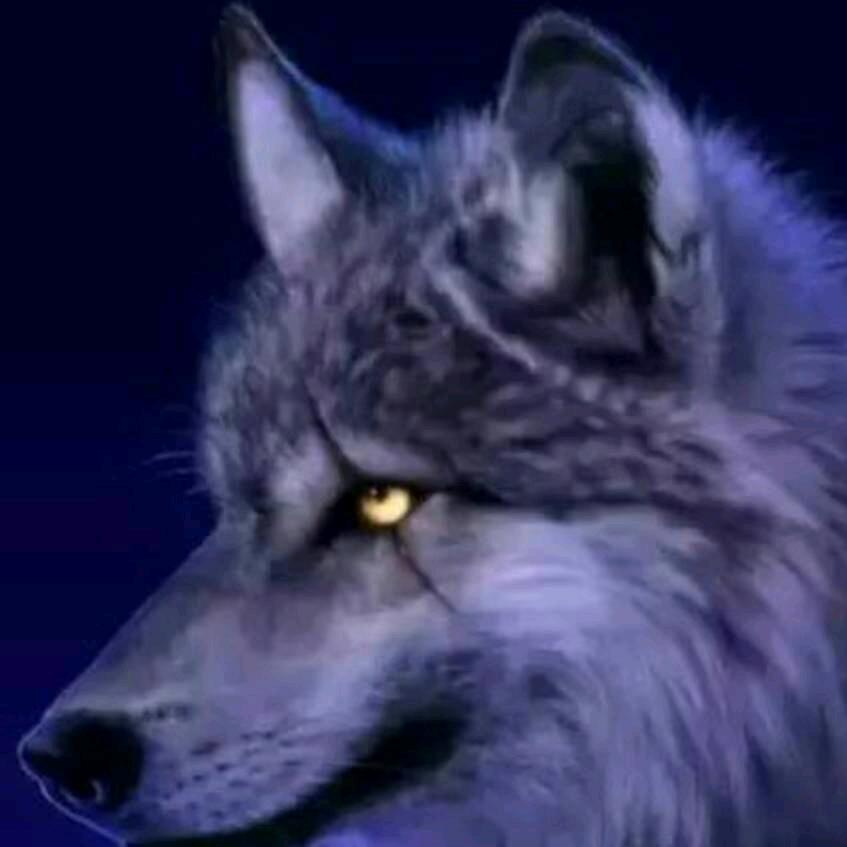 房子（建龙装饰）