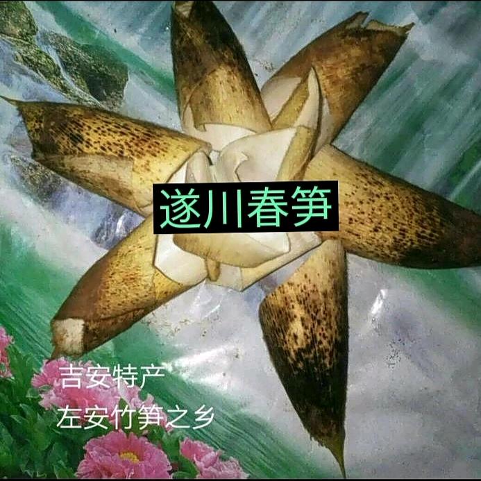 爱上别墅