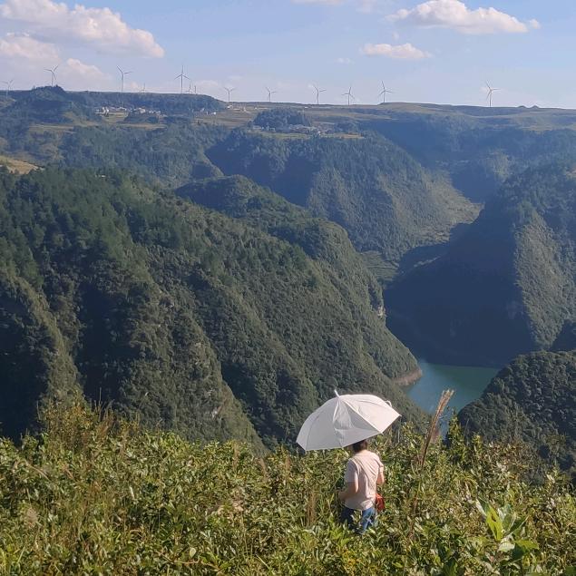 🍼🌈（罗司福）🌈