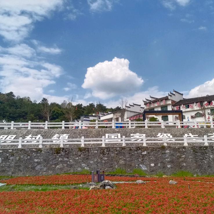 雲中的我