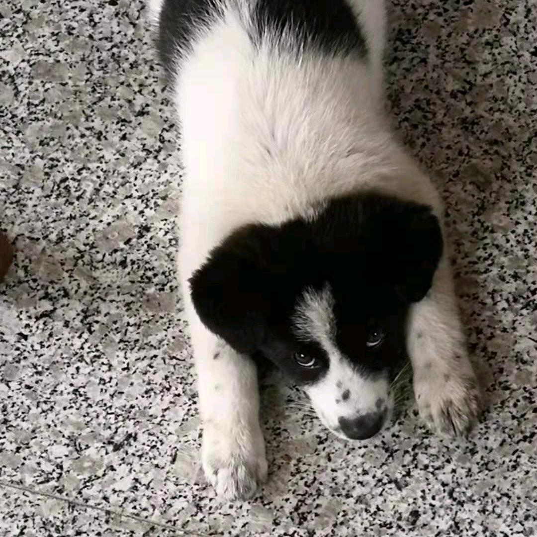 🇨🇳🇨🇳🇨🇳🇨🇳🇨🇳