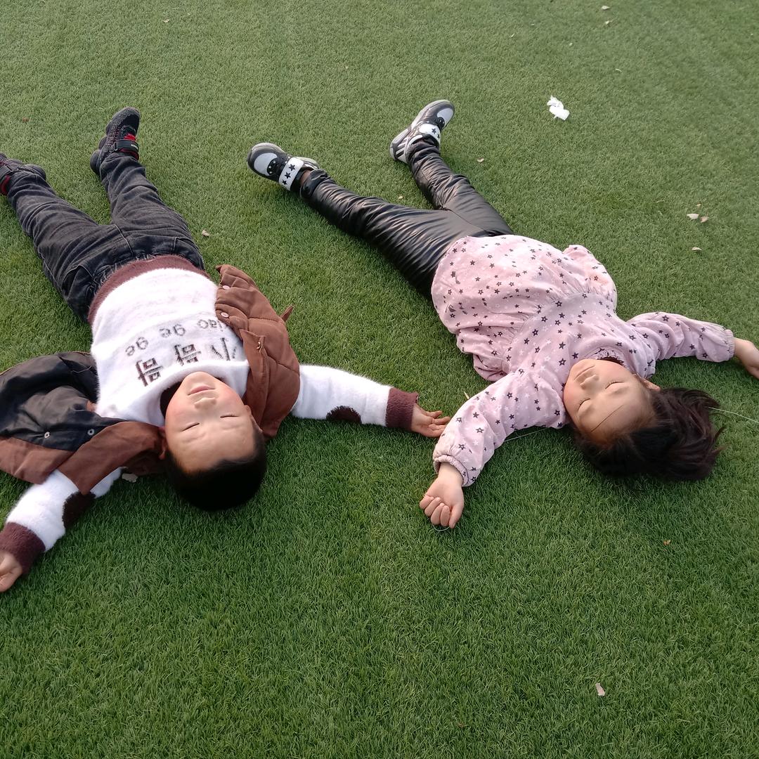 老楊要努力日常