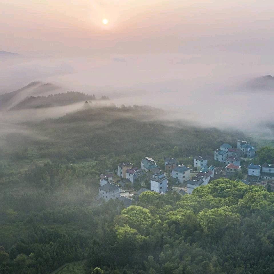 一影.