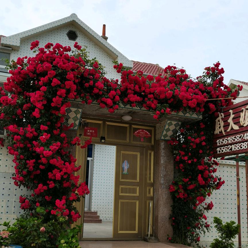 荣成戚大姐渔家