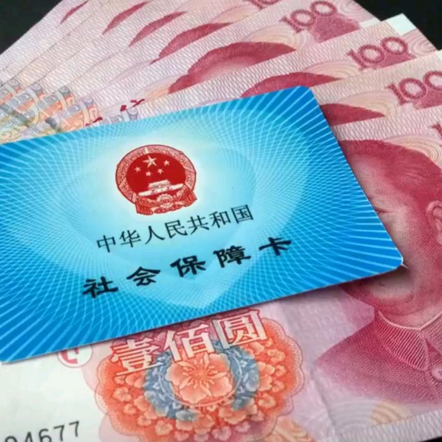 杨杨社保（橱窗有好物）