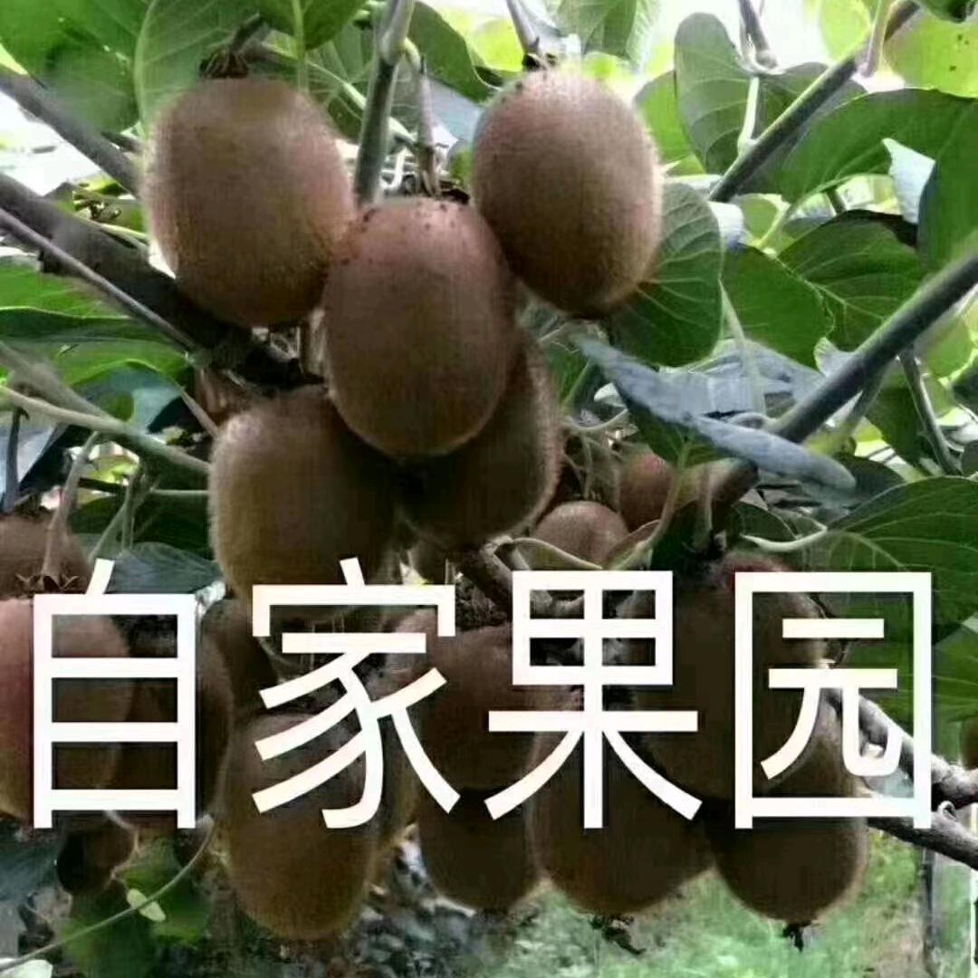 微微一笑很倾城