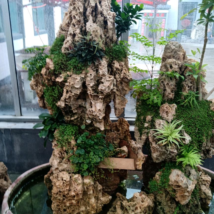春天的云（拒绝私聊）头像