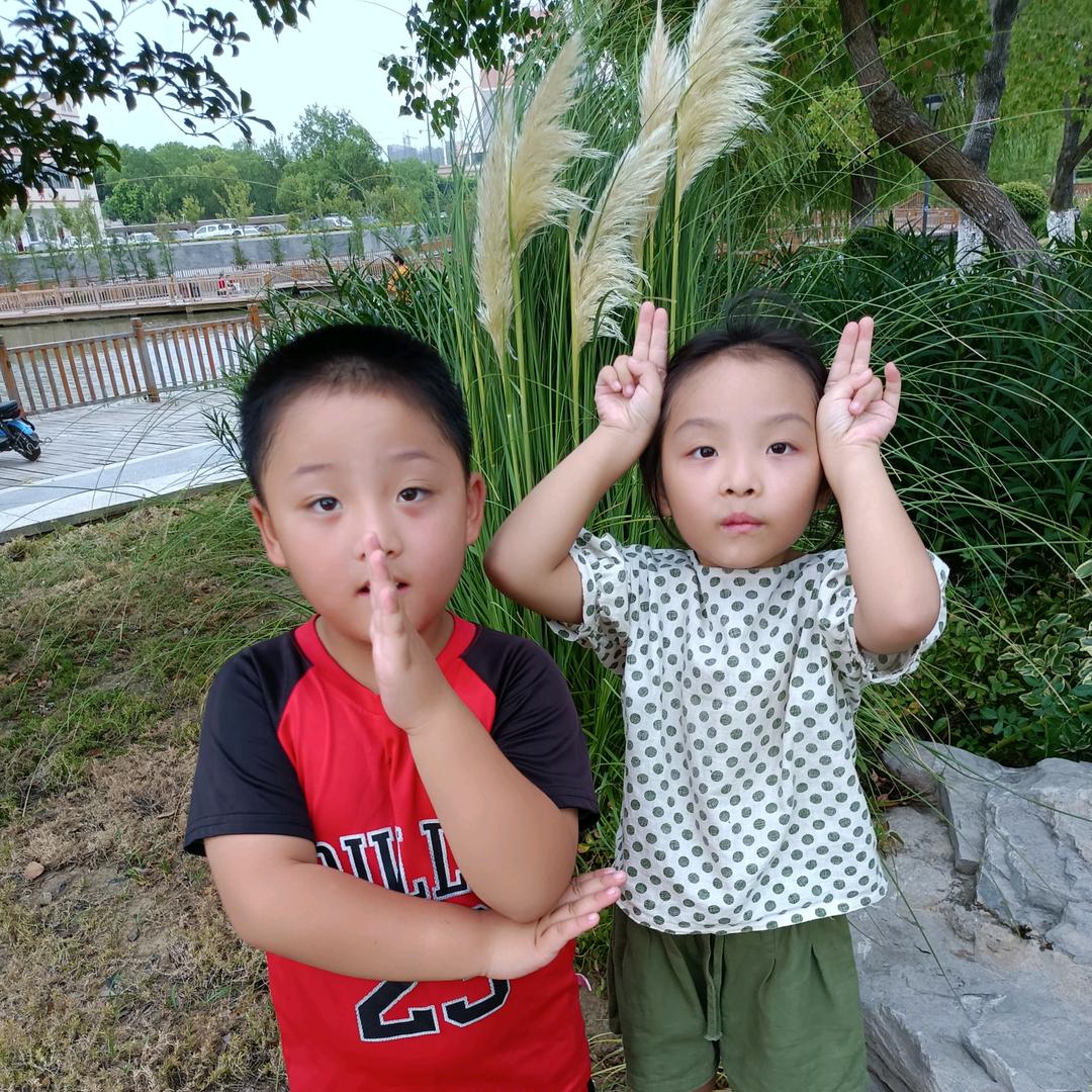 菲，航，诺的奶奶