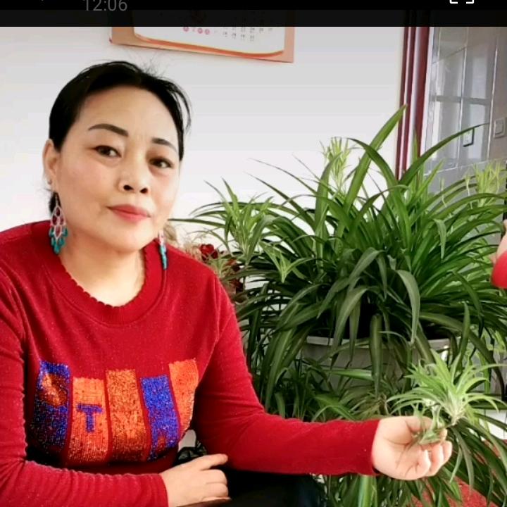 女汉子