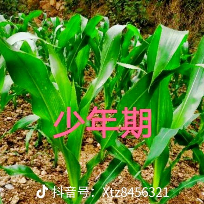 用户6828939378670