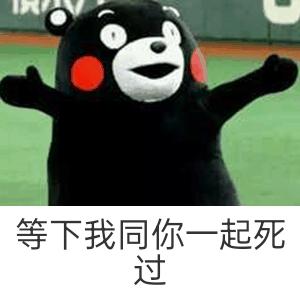 新一年不同名