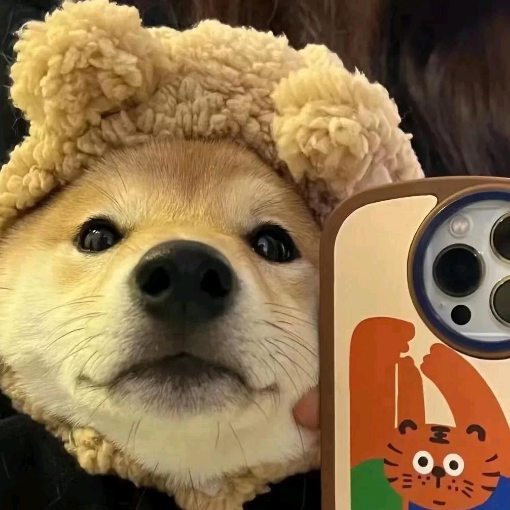 萬事順意.