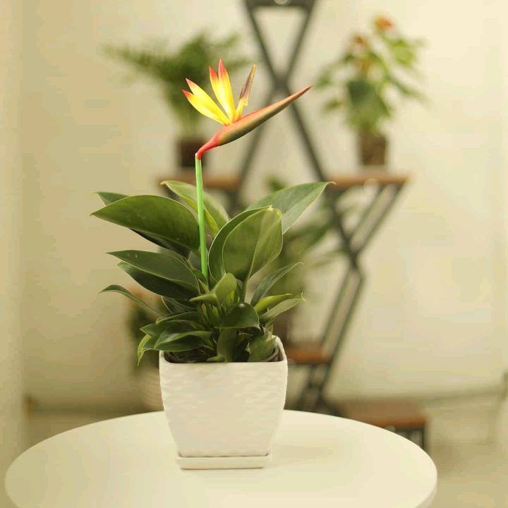 简一共书