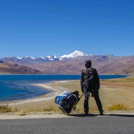 阿尔卑斯山的tea
