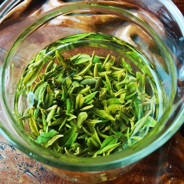 陆羽春茶