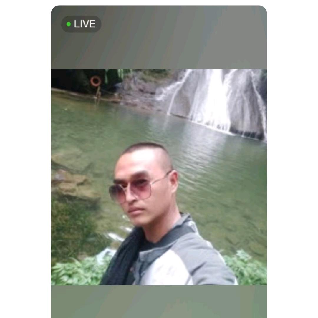 鸡苗哥立国养殖