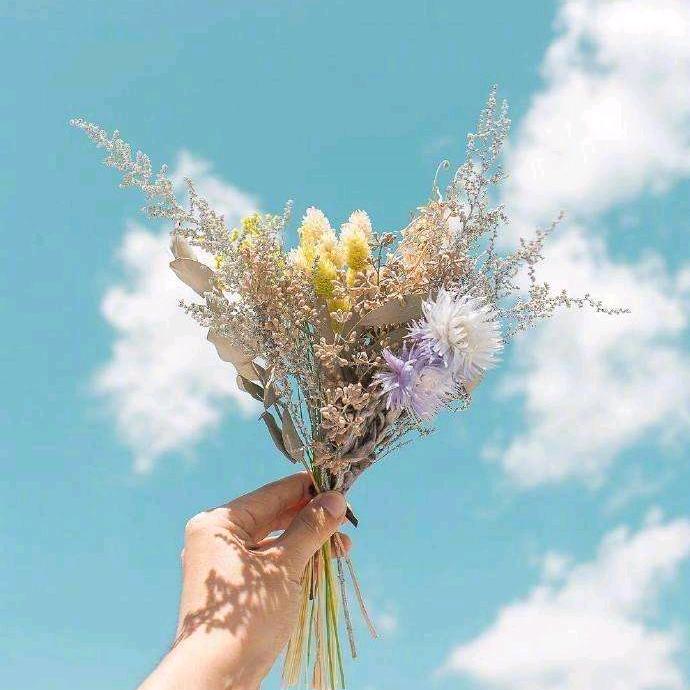 向阳花开