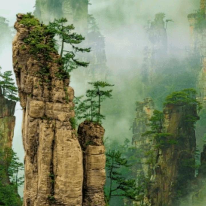 郑奶奶