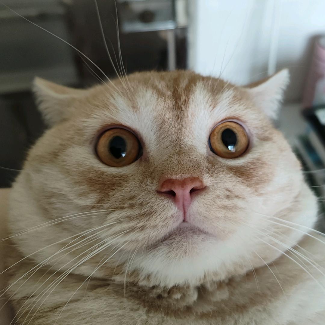 废话老蓝