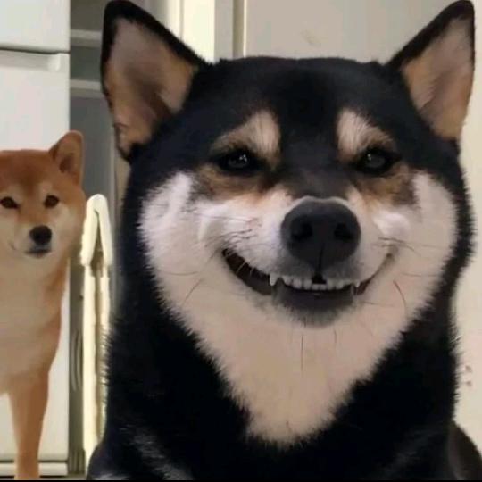 优优U