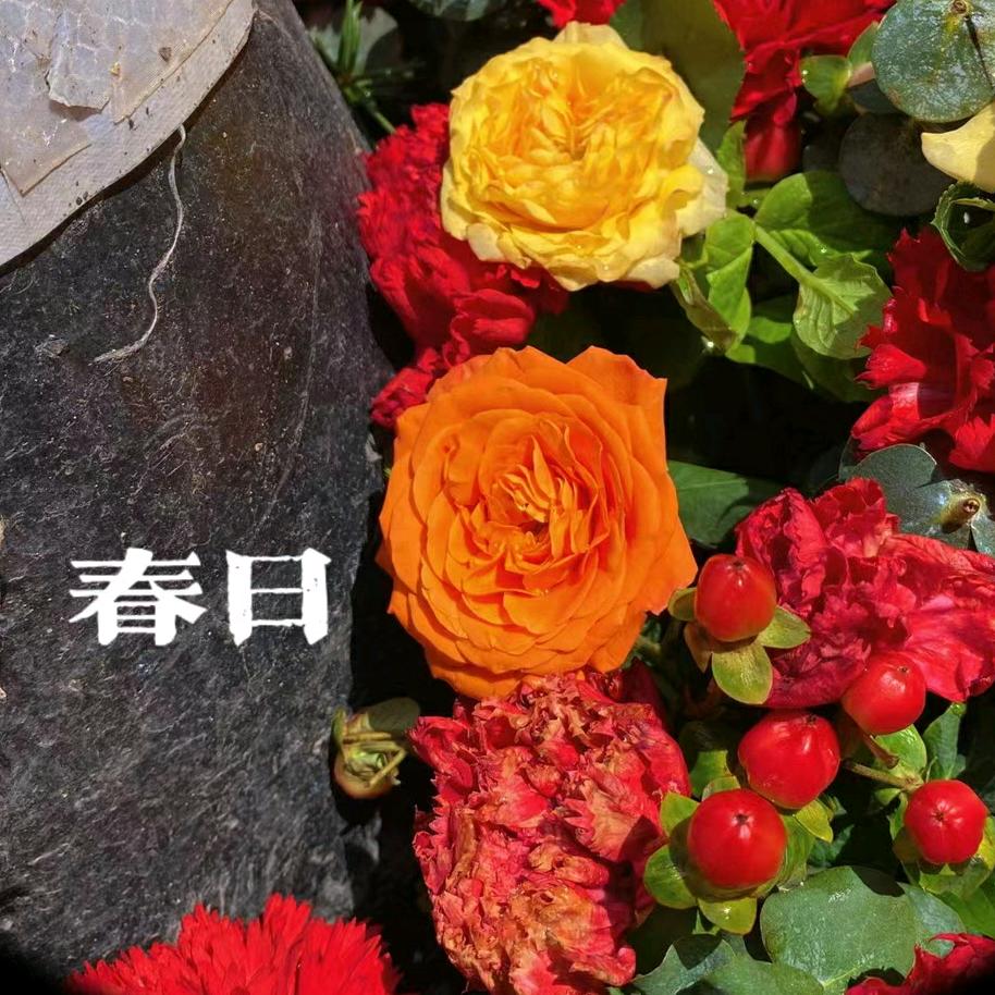 一颗傻蛋