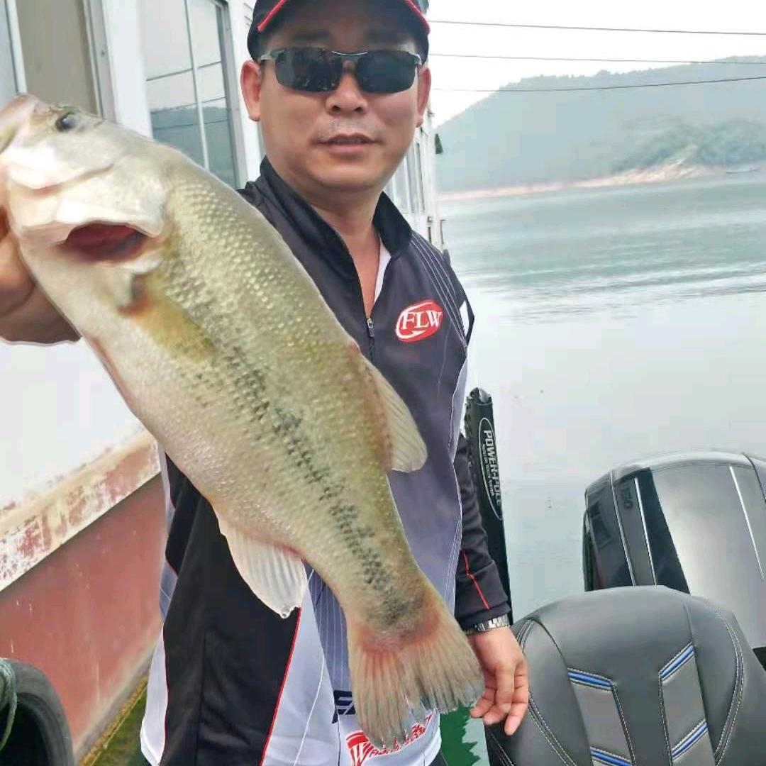 南阳市名流江湖钓具(  早8点50直播