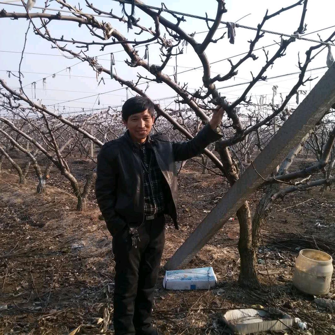 盘石农场