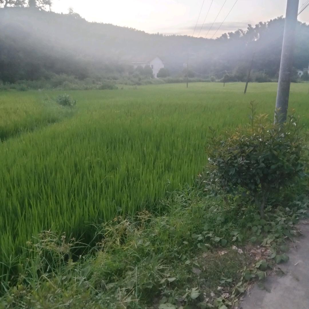 陈国荣