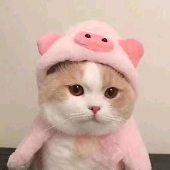 七月´
