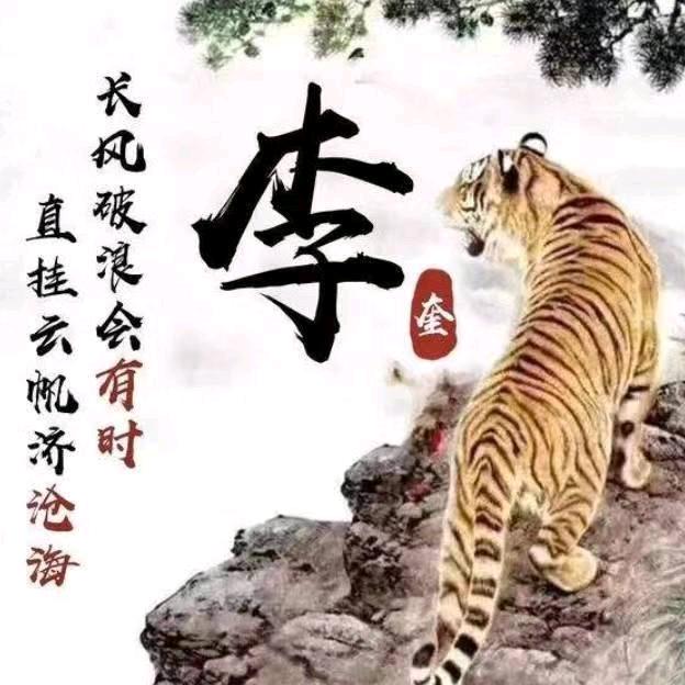 雄鹰天空