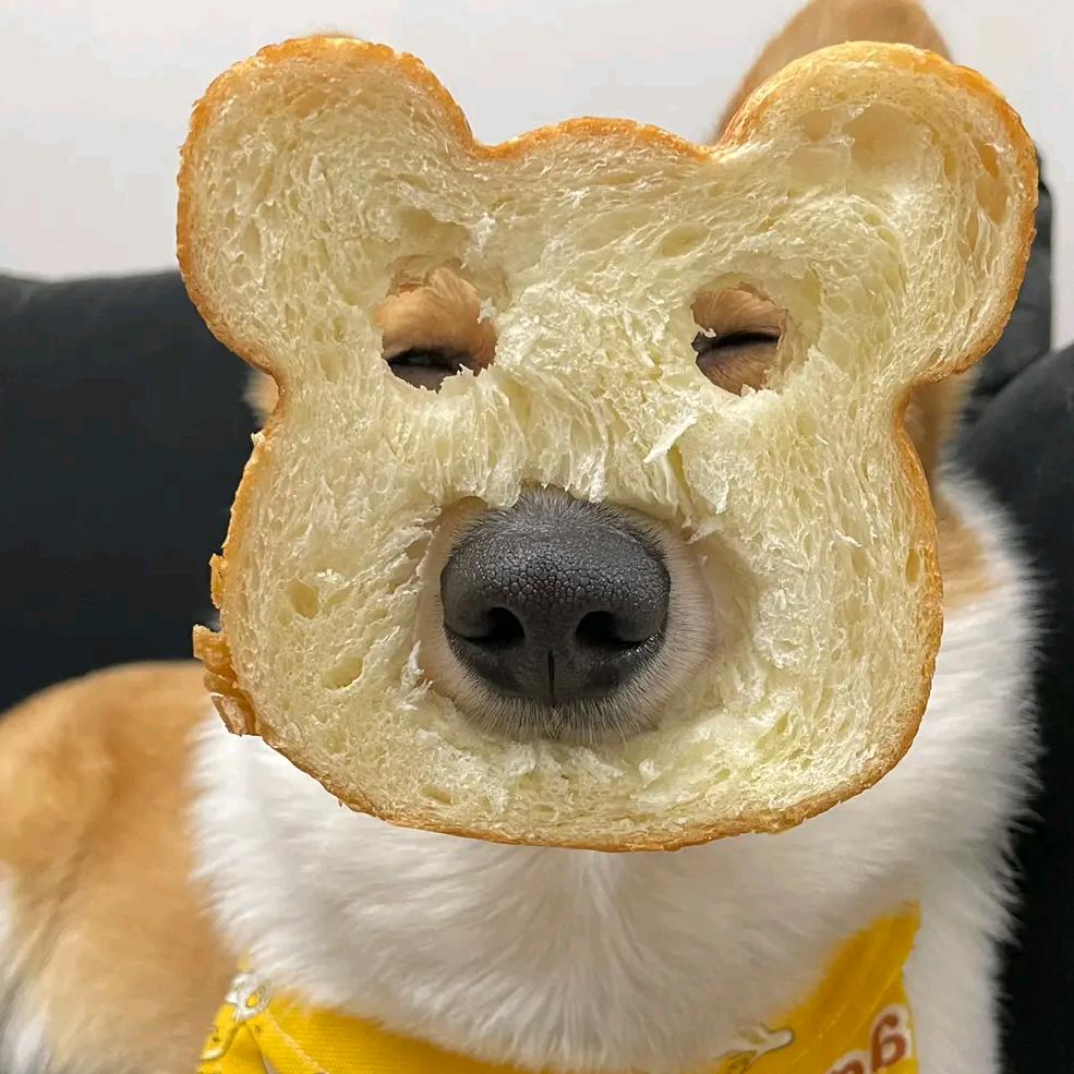 皮卡狗
