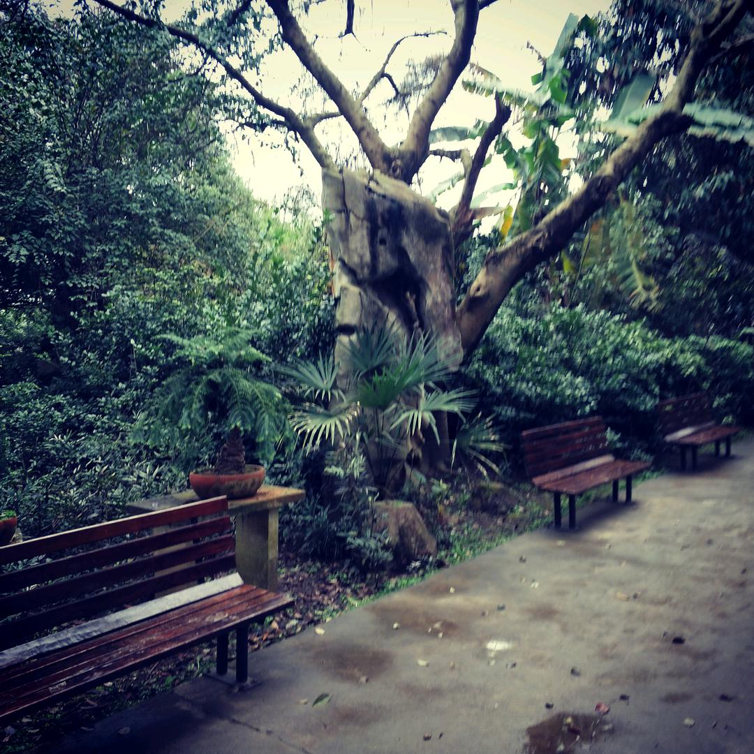 💖人未死心已亡ℒℴѵℯ℘࿐