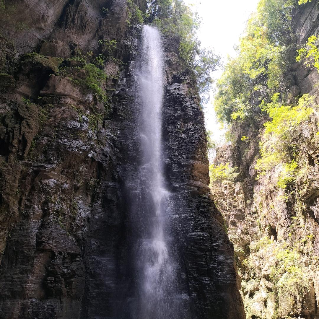 劝君莫作独醒人