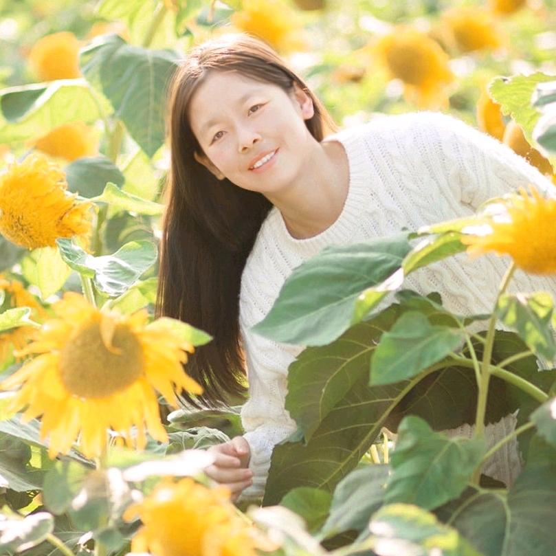 阳光下的向日葵，