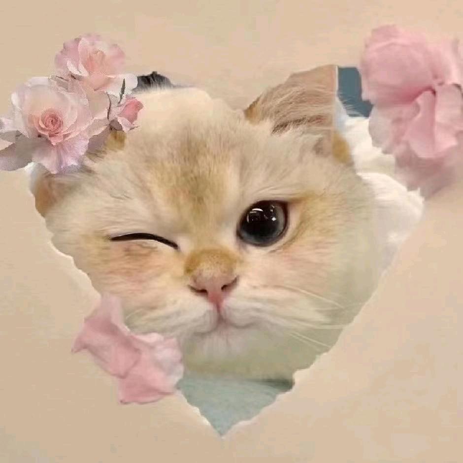四朵金花她妈