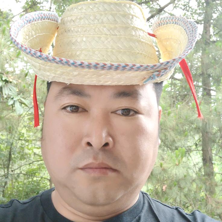 刘庄主