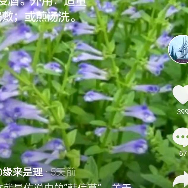 眼镜哥