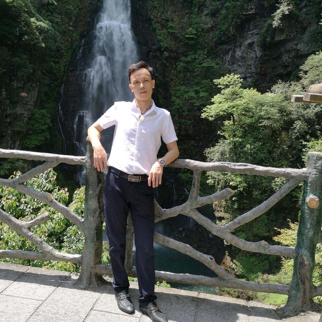 杰哥盆景