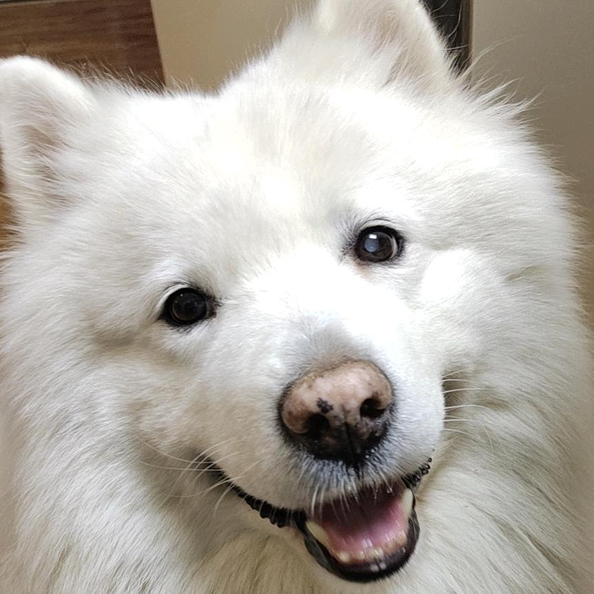 七城果蔬京津冀