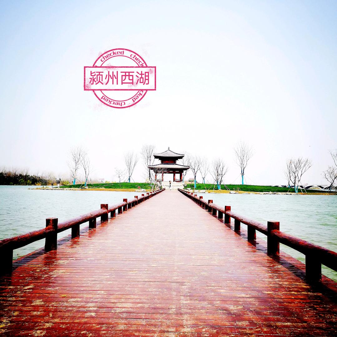 阜之阳