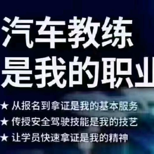 沛县机动车