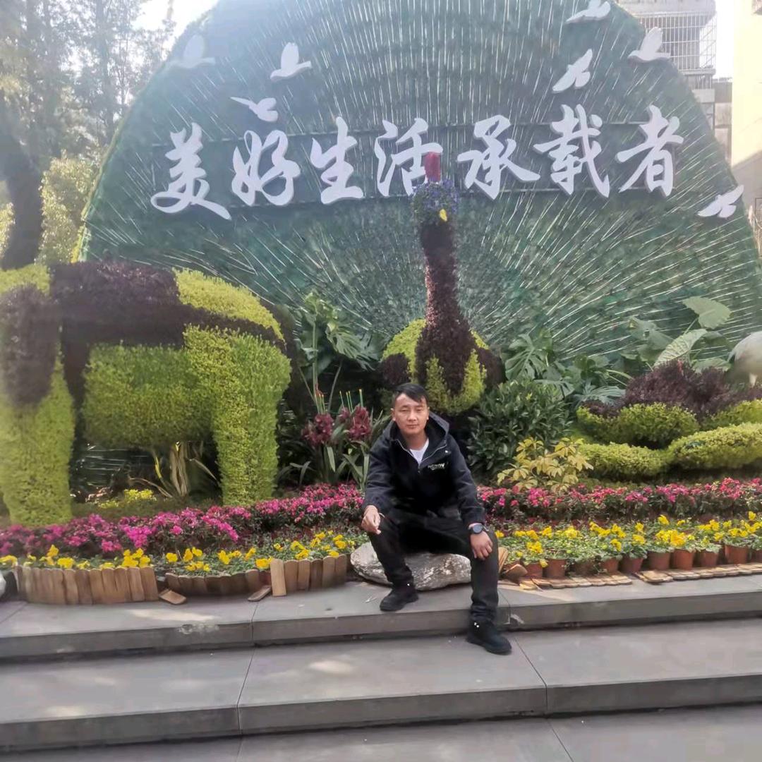 阳光男孩