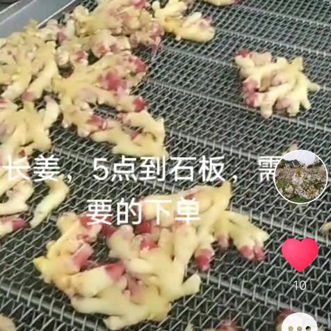 生姜哥