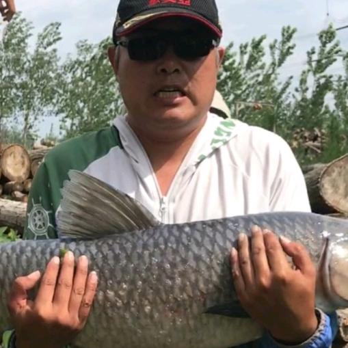 大物师断桥铝系统门窗